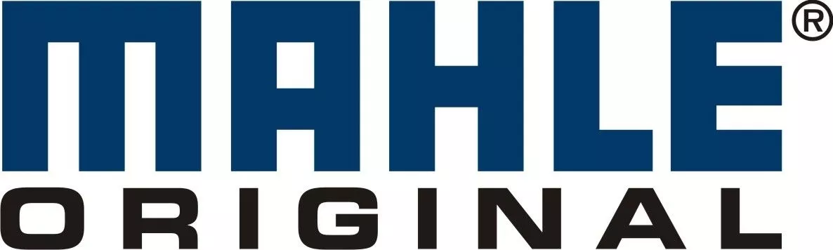 Mahle Original